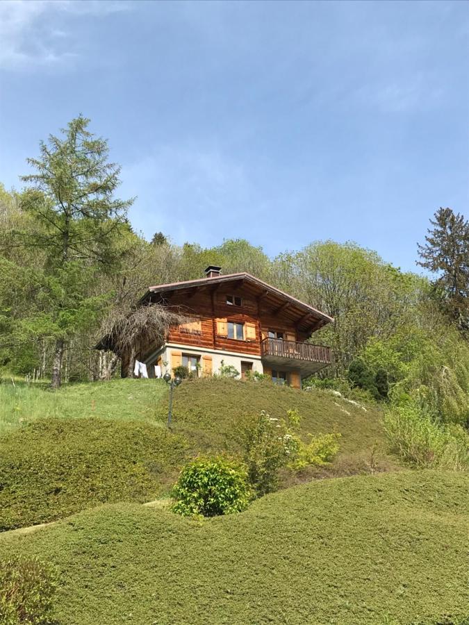 La Marmotte Qui Papote Apartment Le Grand-Bornand Exterior foto