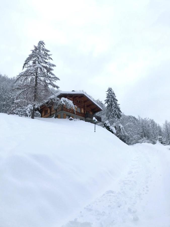 La Marmotte Qui Papote Apartment Le Grand-Bornand Exterior foto