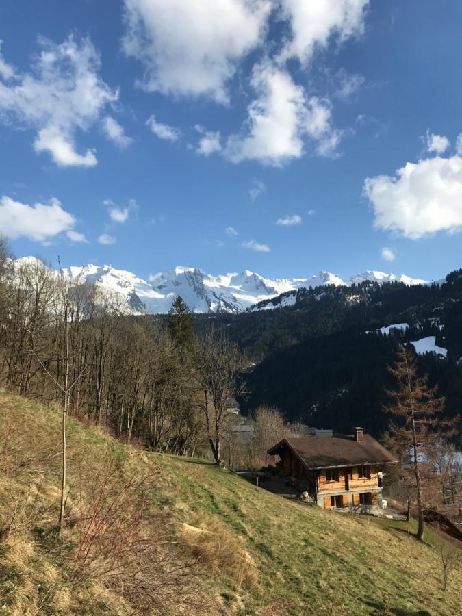 La Marmotte Qui Papote Apartment Le Grand-Bornand Exterior foto