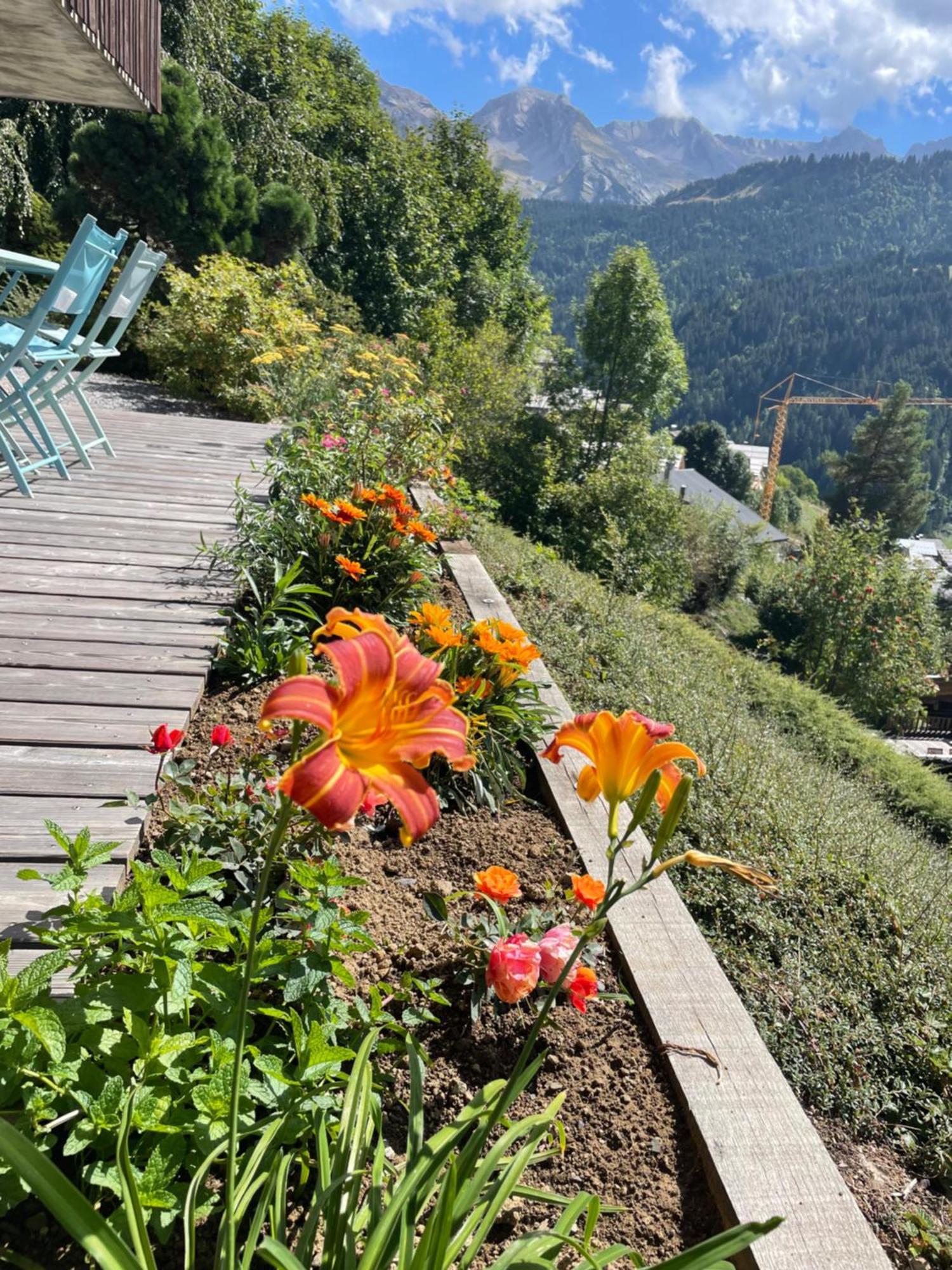 La Marmotte Qui Papote Apartment Le Grand-Bornand Exterior foto