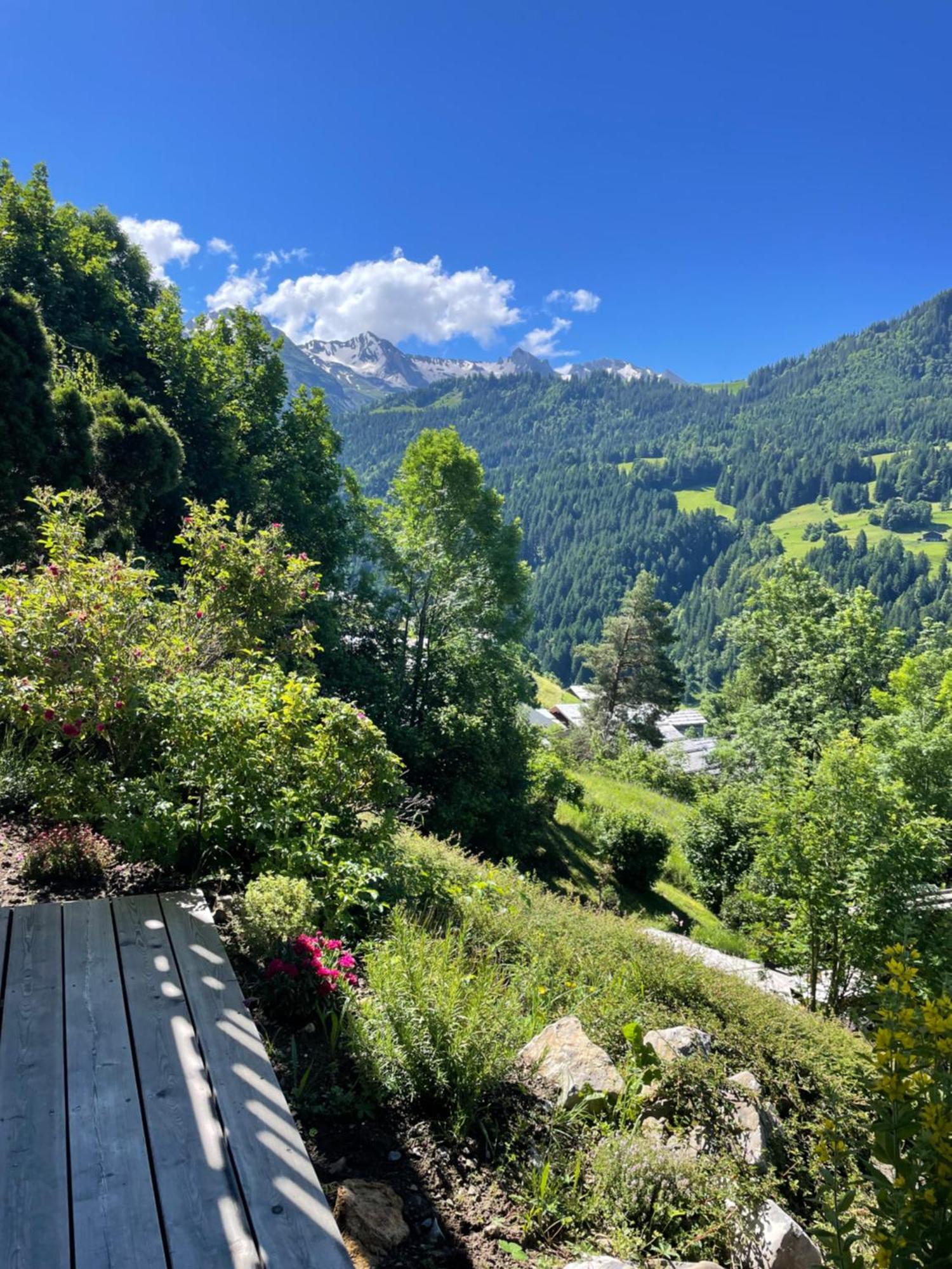 La Marmotte Qui Papote Apartment Le Grand-Bornand Exterior foto